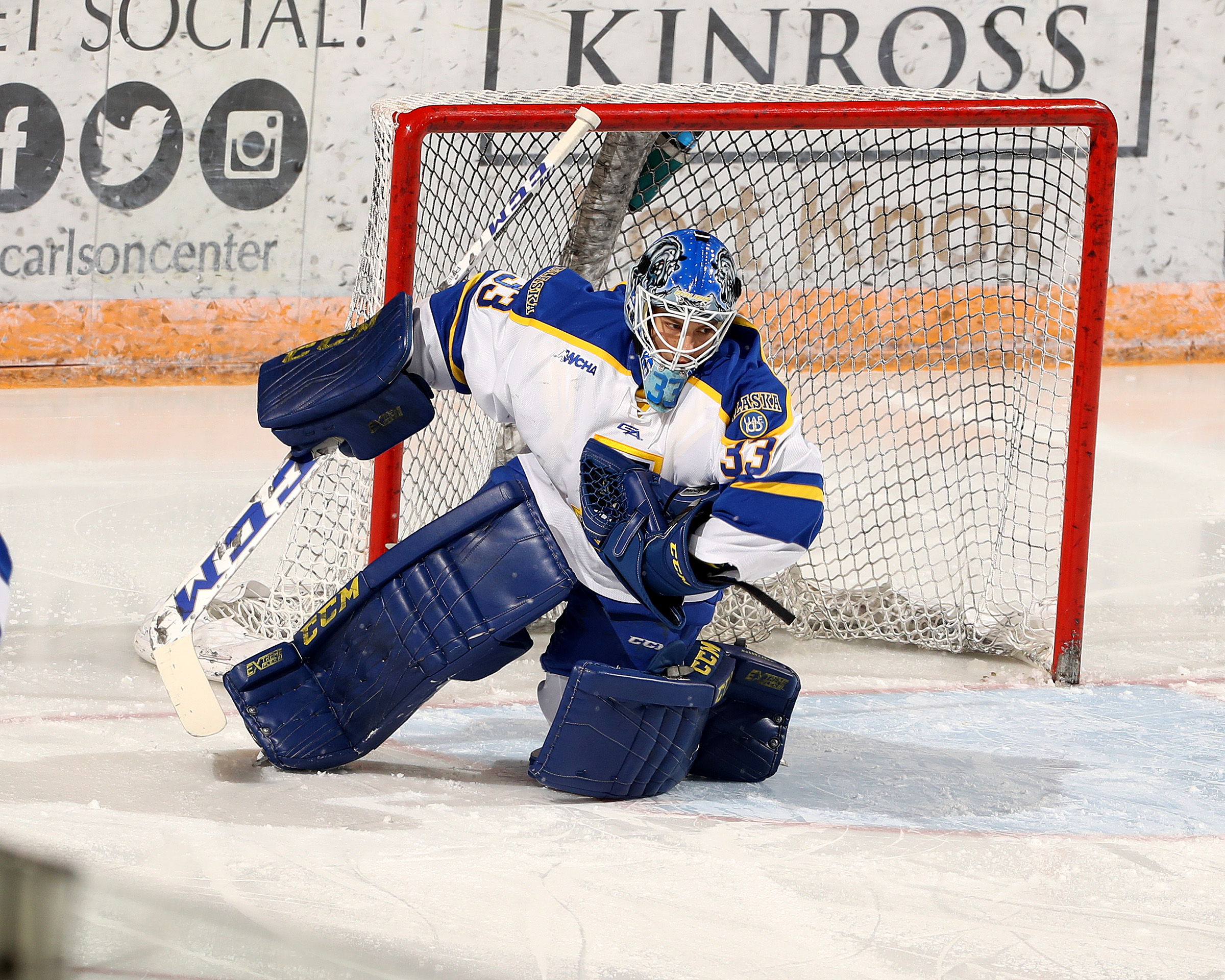 hockey goalie guards net