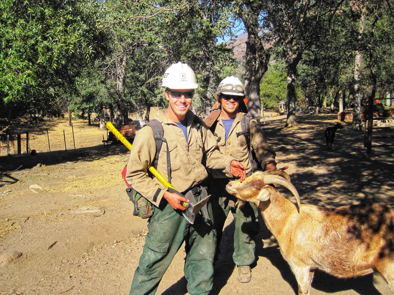 two firefighters stand with goat