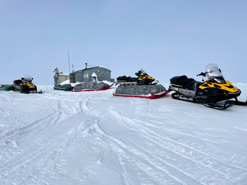 DLB fieldwork spring 2021