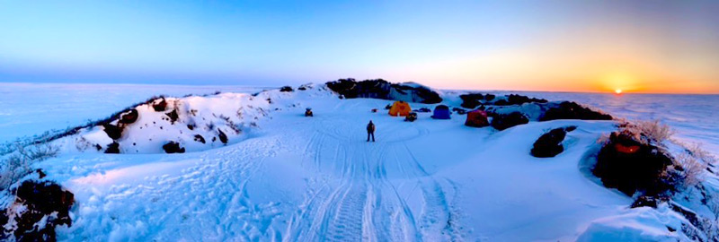 DLB field work spring 2021