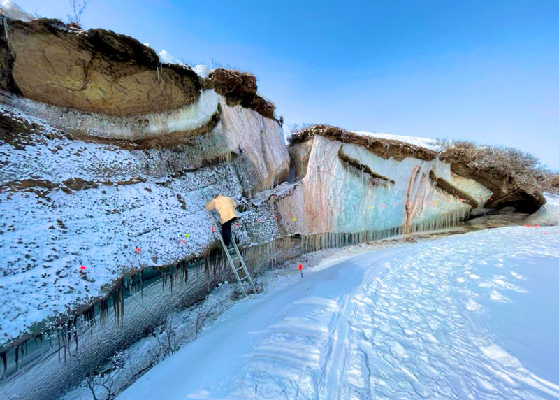 DLB fieldwork spring 2021