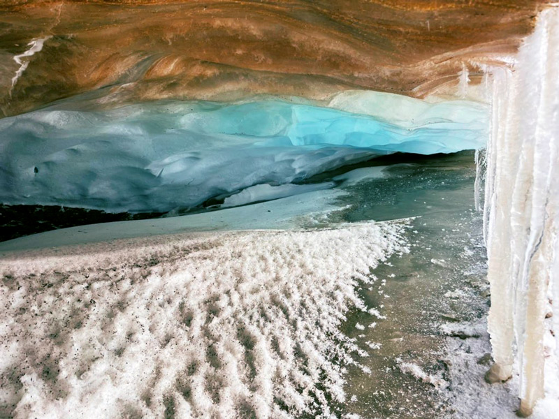 DLB fieldwork spring 2021