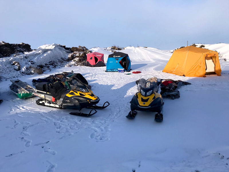 DLB fieldwork spring 2021