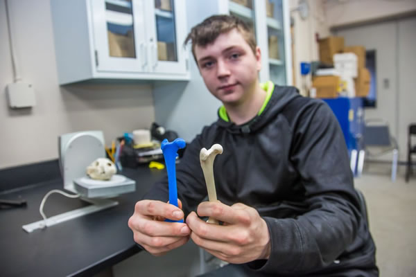 3D printed bone
