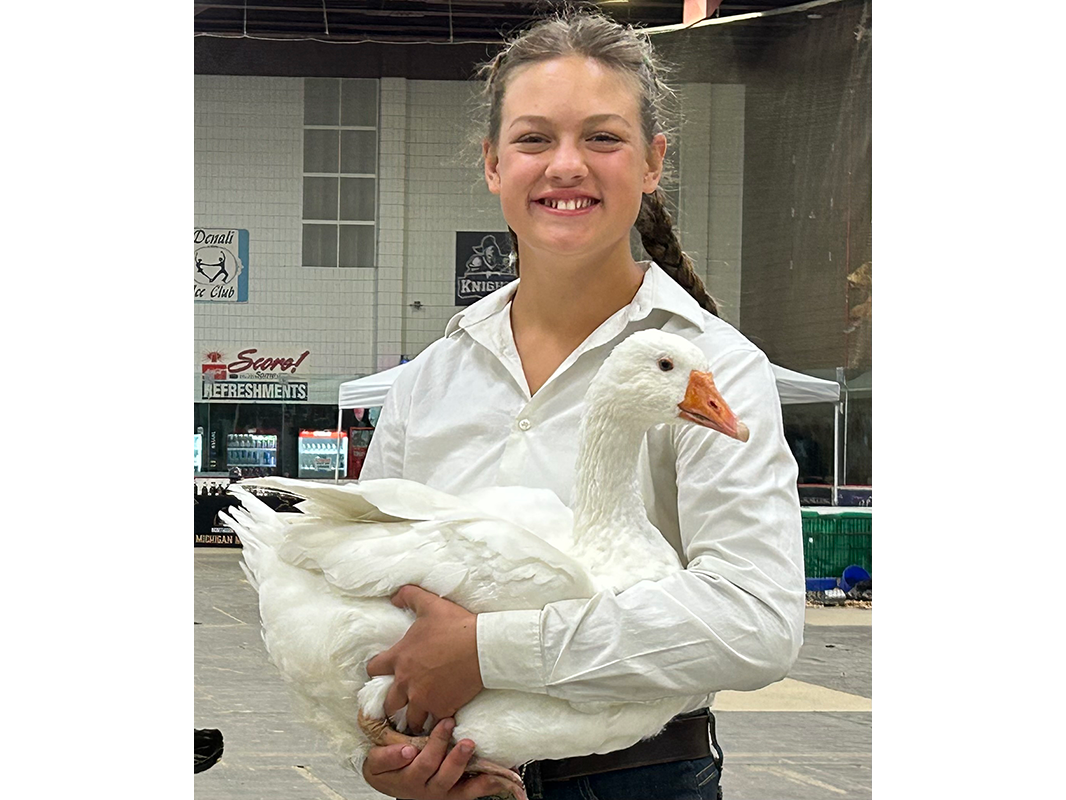 Girl holding goose