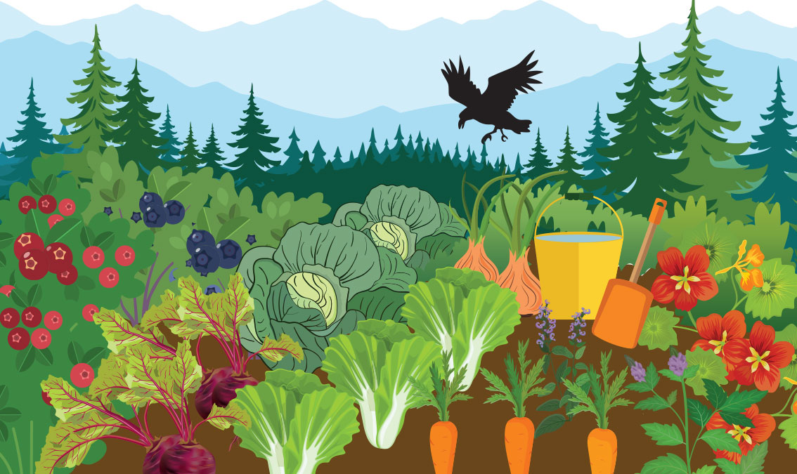 garden with raven