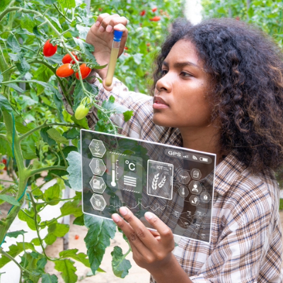 woman studying plant with tablet