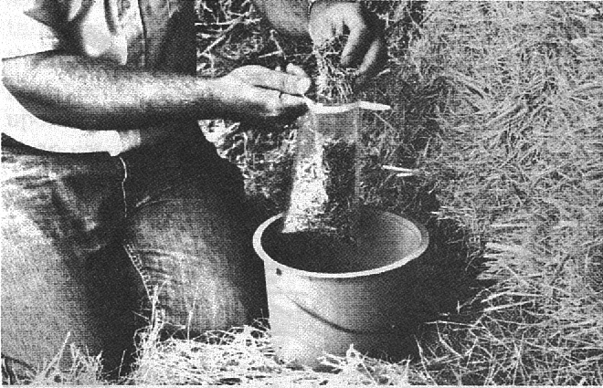 After thorough mixing the subsamples, fill the sample bag