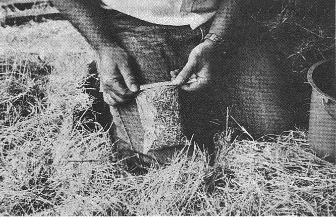 Press all air out of the bag and seal it for mailing.