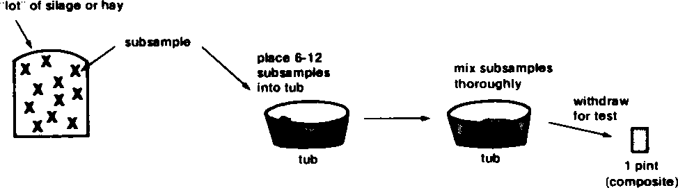 Obtain six to 12 subsamples from a “lot,” place them in a container