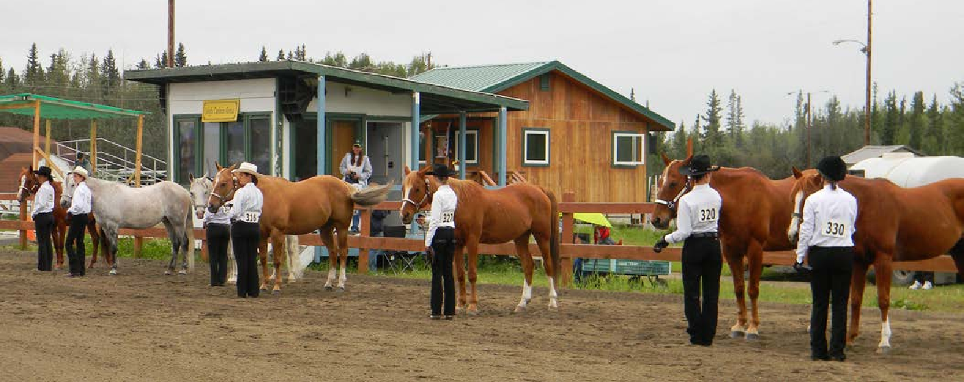 Judging Halter Horses (From the Top Down) Cooperative Extension Service