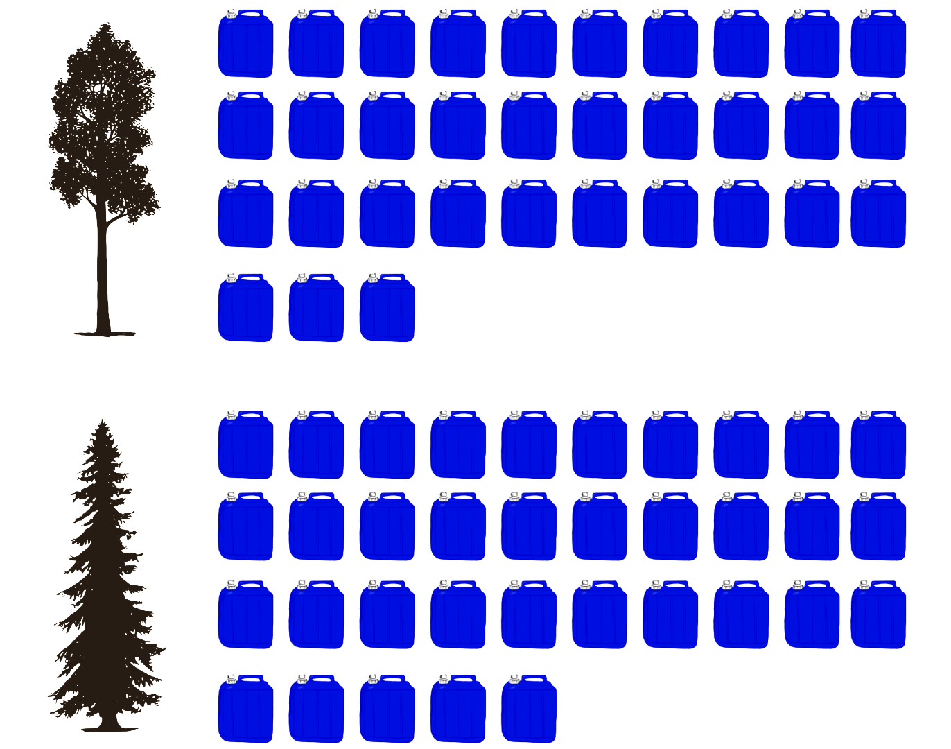Graphic show how many 5 gallon jugs of water in the first 2-3 weeks after harvest are lost  