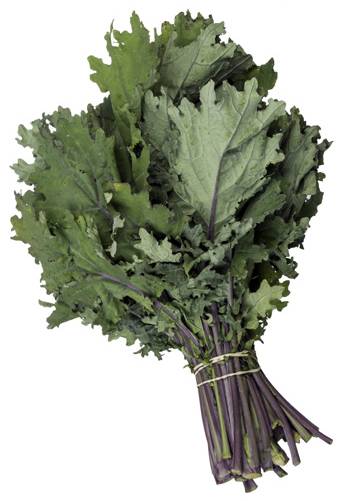 Kale Image of kale