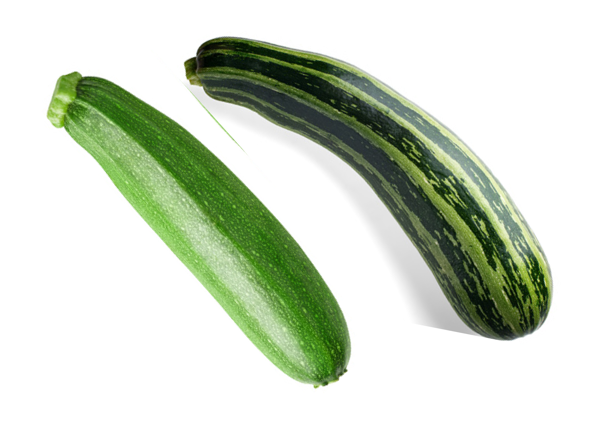 Zucchini Image of zucchini