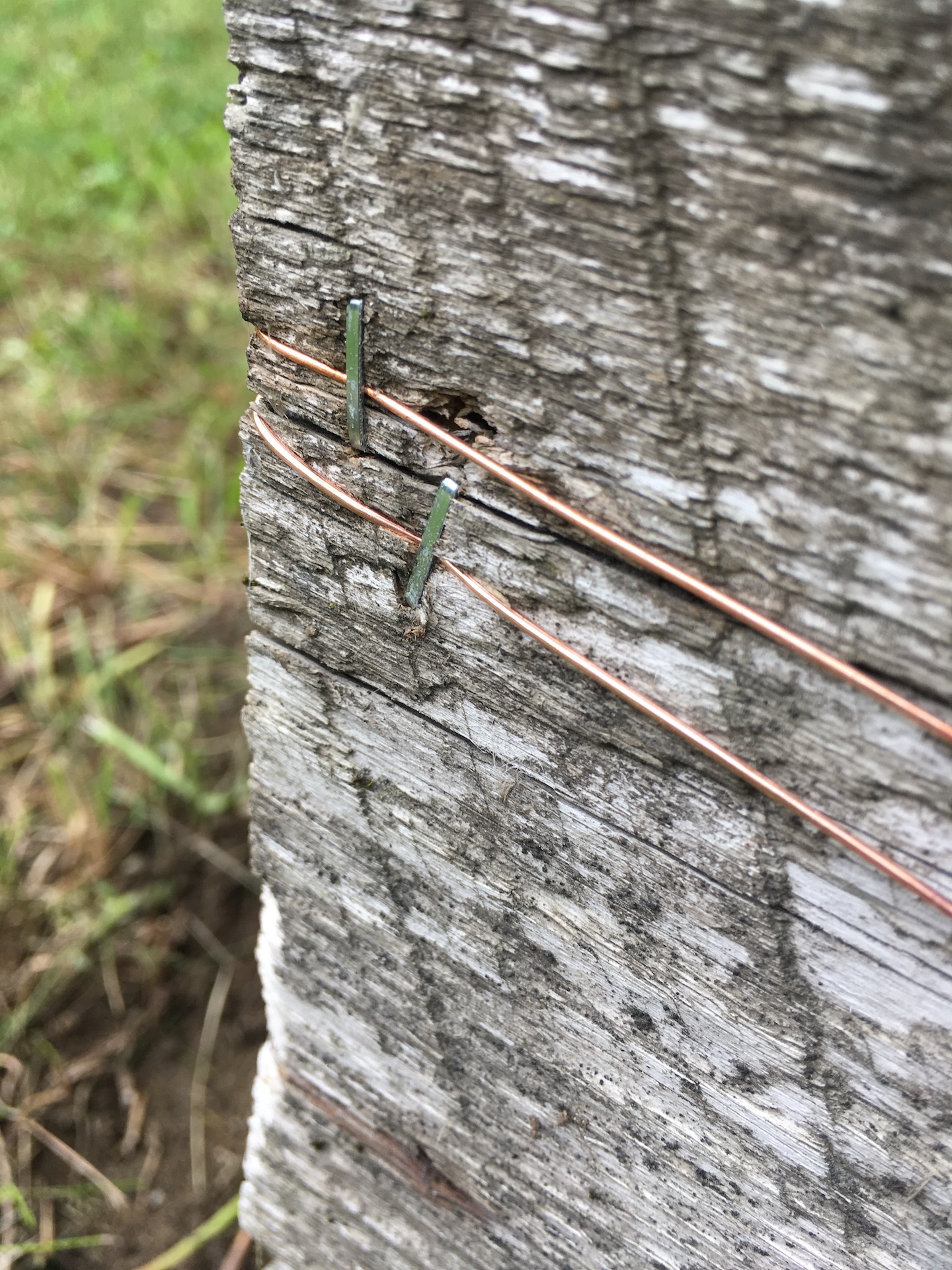 Example of a slug electric fence
