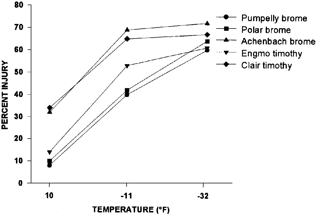Effect of low temperatures on tissue injury in different strains of brome and timothy