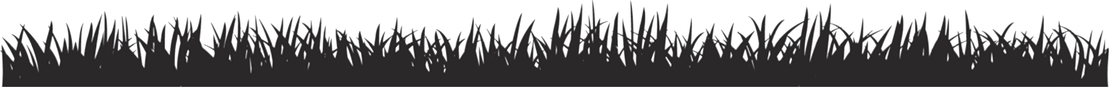 Lawn Black and white blades of grass