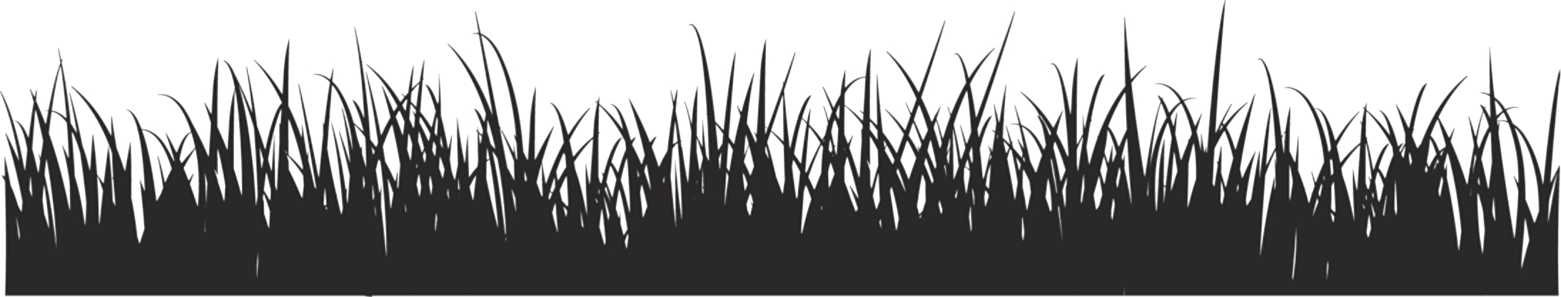 Vector image of grass