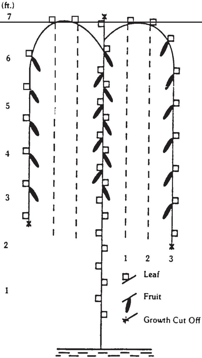 Wiring system for stems