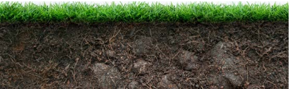 Soil Layer of ground covered with grass