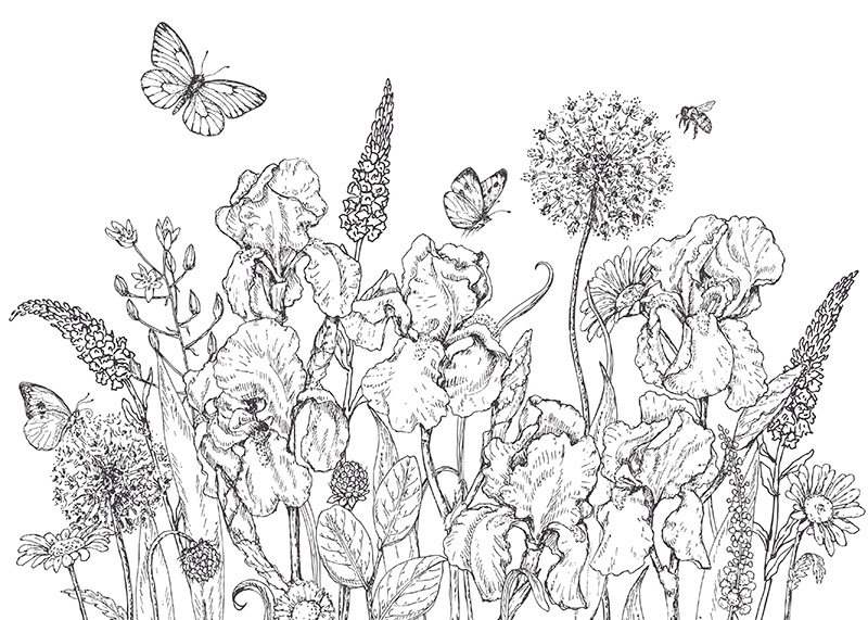 A garden of flowers with butterfly and bees flying about as they pollinate