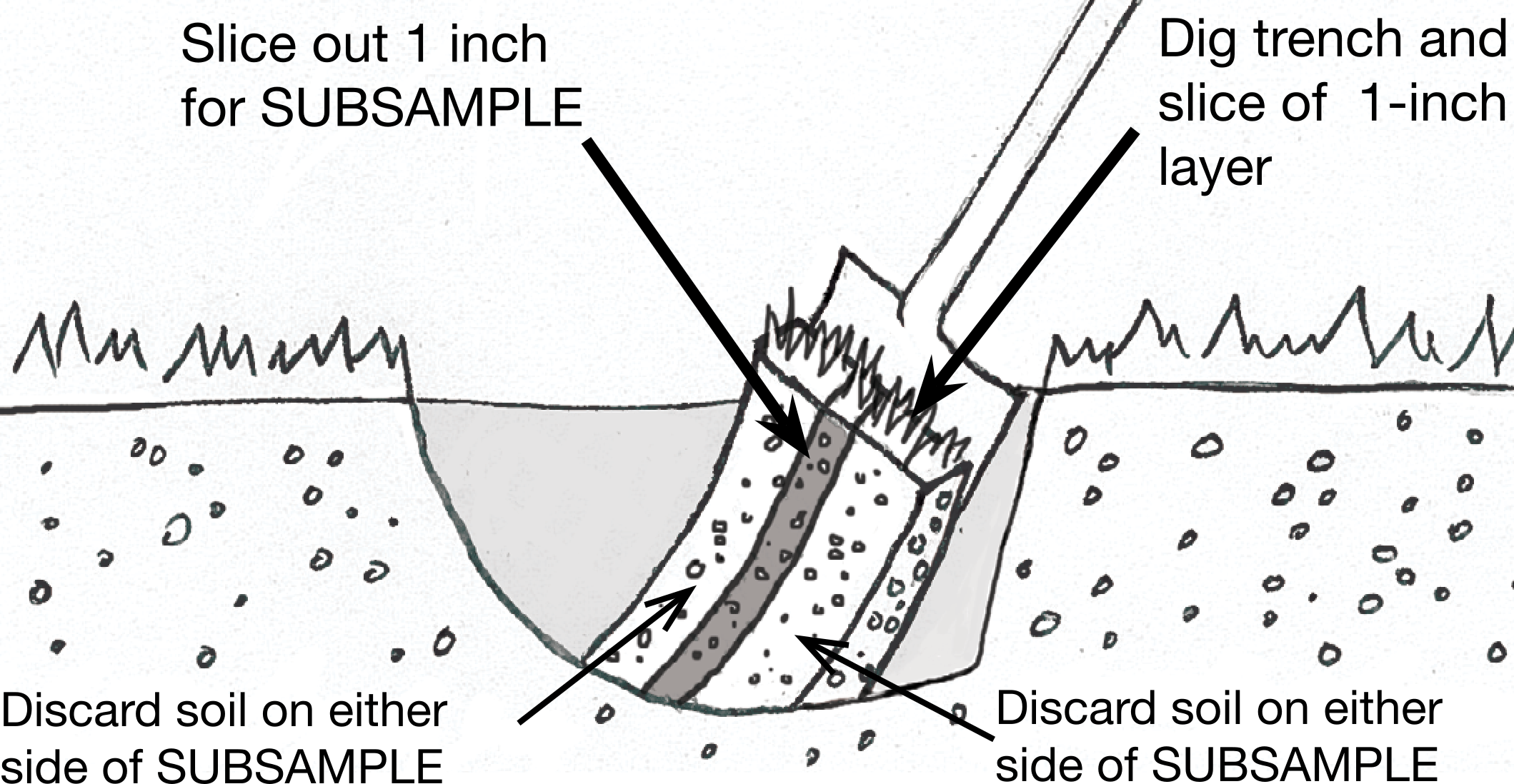 Soil Sampling Cooperative Extension Service