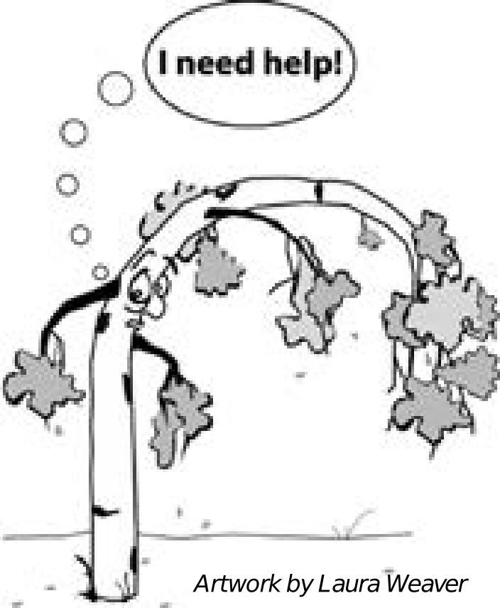 Plant Stress Wilting plant with speech bubble saying it needs help