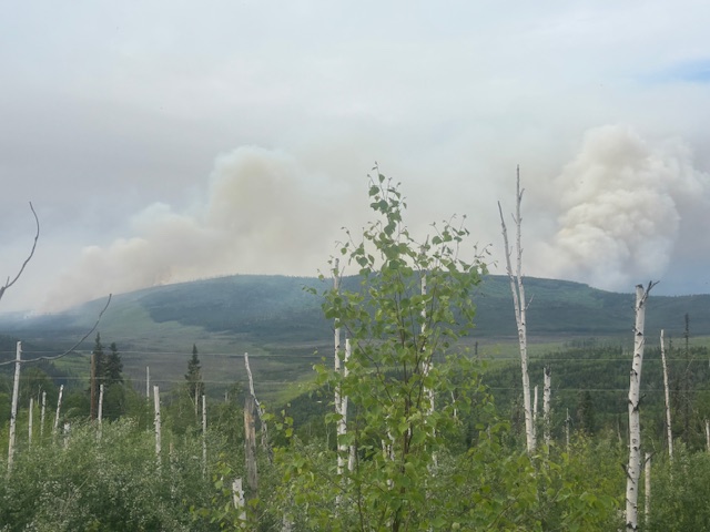 Wildfire spreading through a forest in Fairbanks, Alaska. 