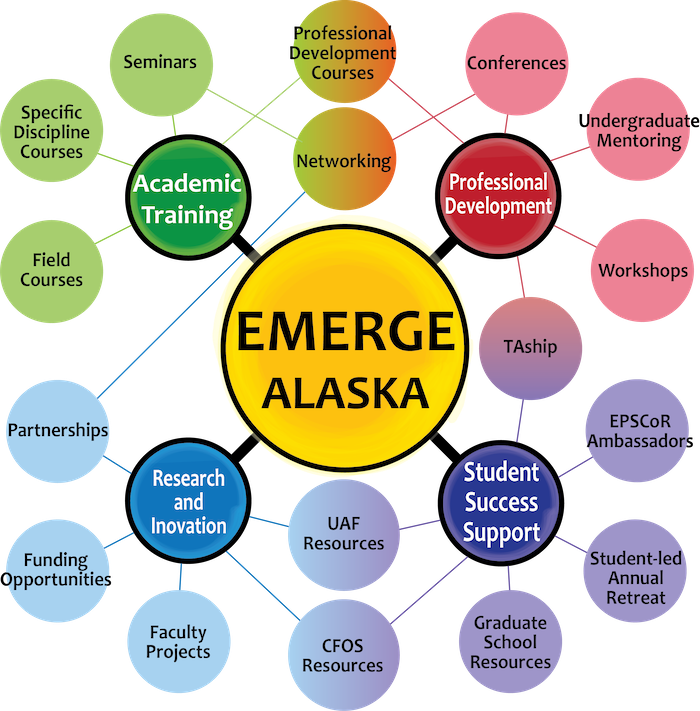 emerge informational graphic