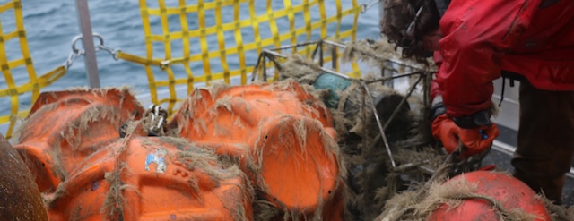 A researcher works to recover some buoys and nets on board the research vessel nanuq