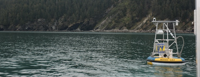 A data gathering moor floats in the ocean