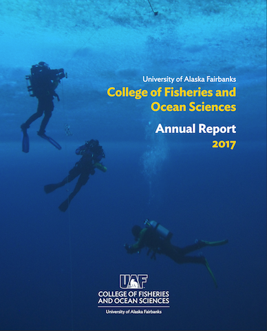 underwater photo of divers with ropes