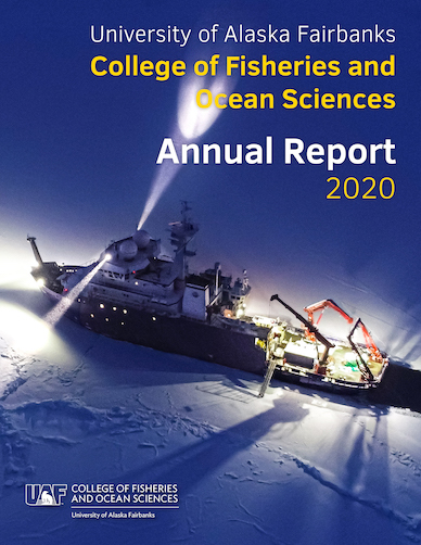 2020 Annual Report cover image