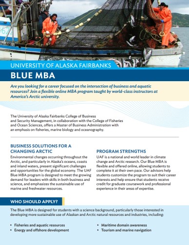 CFOS/SOM STEM Blue MBA flyer