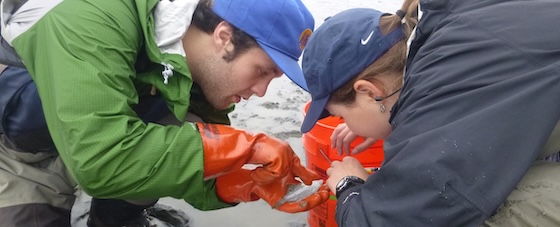 Photo of two students examining a halibut fry