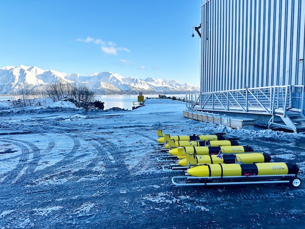 Autonomous underwater vehicles are lined up outside the glider lab at the Seward Marine Center.