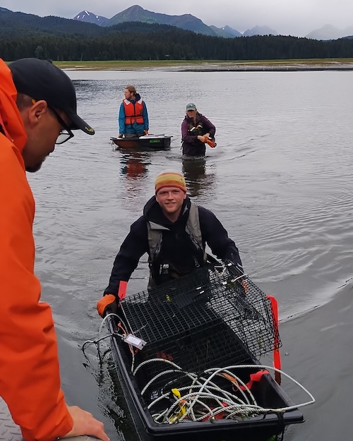 Photo of Jackson Pillifant, pushing a small sled with a sample cage, through shallow water