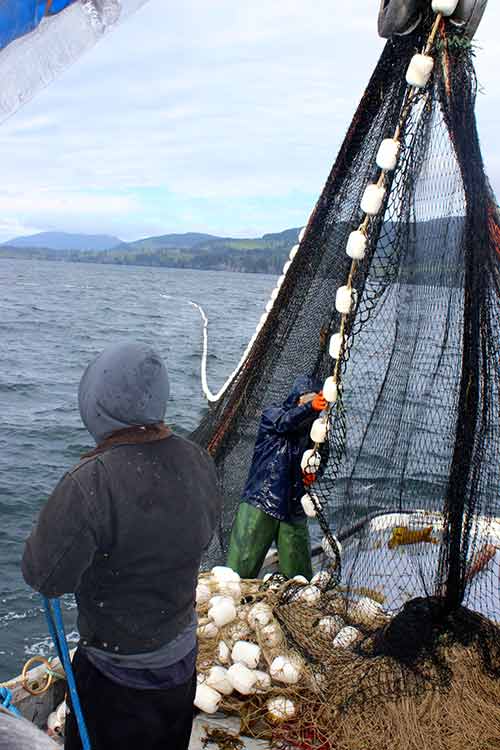 Fishing net on boat. Photo by Danielle Ringer.