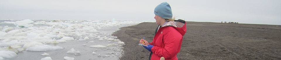Two people on the shore pulling in a seine net