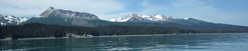 Mountains and lake view