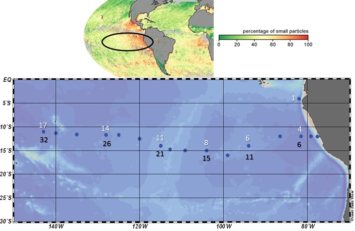 Figure 2. Sampling region.