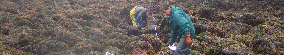 Researchers on shoreline