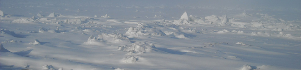 Chukchi Borderlands - snow covered land