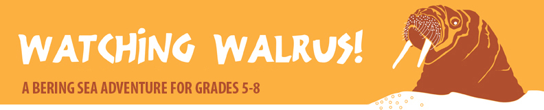 Watching Walrus banner image