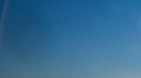 Solstice collage 3-1