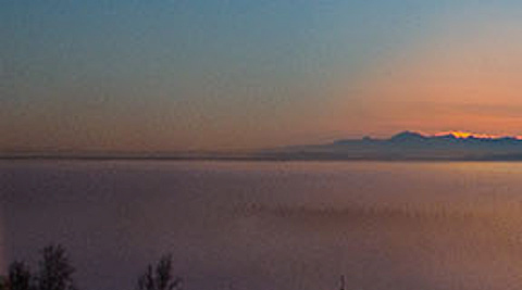 Solstice collage 4-1