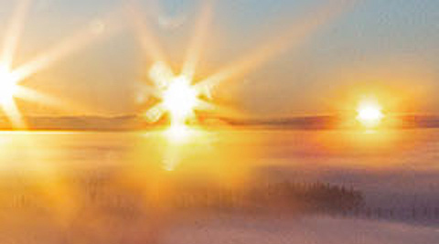 Solstice collage 4-4