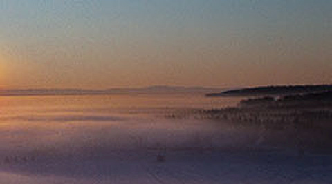 Solstice collage 4-5 