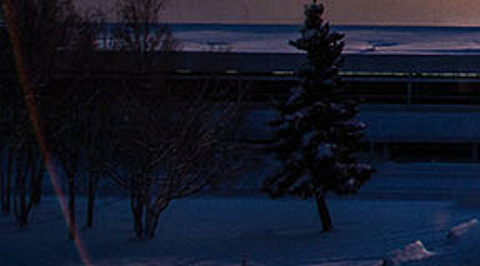 Solstice collage 5-1 