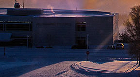 Solstice collage 5-2